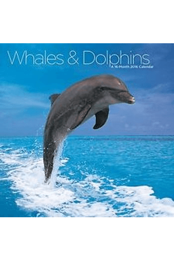 Various/ Galahad - Dolphins & Whales CD - omot