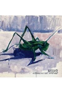 Nellcote - Distrubance in a Quiet Summer Night CD - omot