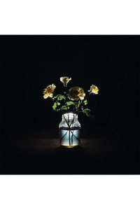 Billy Strings - Renewal CD - omot