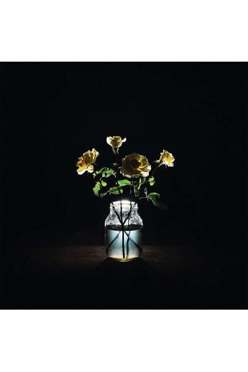 Billy Strings - Renewal CD - omot