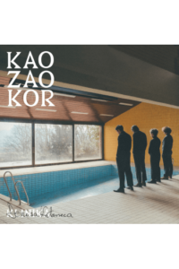 Klinika Denisa Kataneca – Kao zao kor (LP) glazbeno izdanje