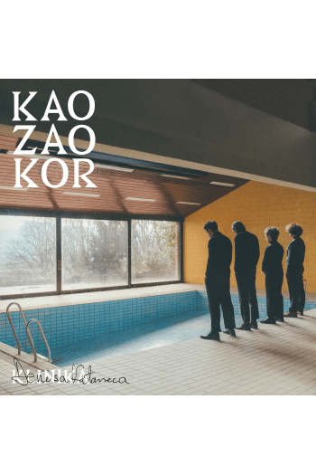Klinika Denisa Kataneca – Kao zao kor (LP) glazbeno izdanje