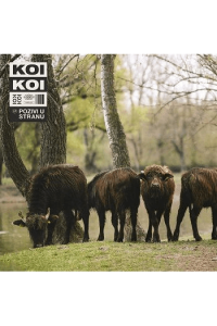 Koikoi - Pozivi u stranu CD - omot