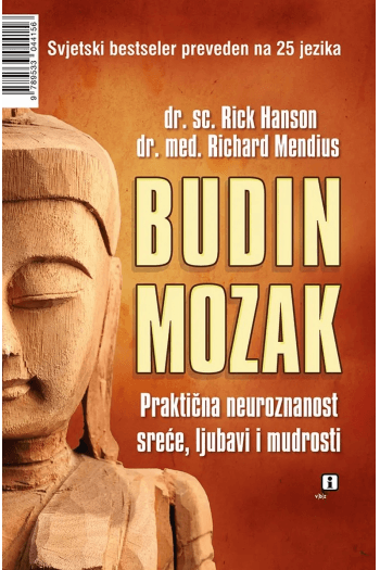 Budin mozak - naslovnica