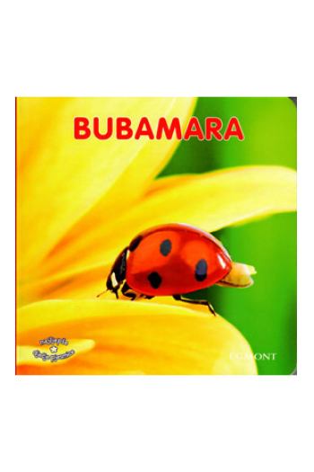 Bubamara (Slikovnica) - naslovnica