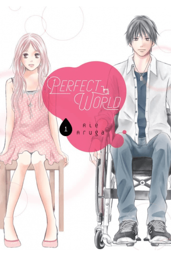 Perfect World, Vol. 01 - slika proizvoda