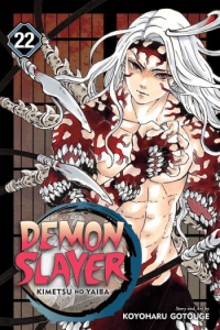 Demon Slayer: Kimetsu No Yaiba, Vol. 22 (Manga) - naslovnica