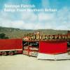 Teenage Fanclub - Songs From Northern Britain remastered 180g vinyl LP - omot
