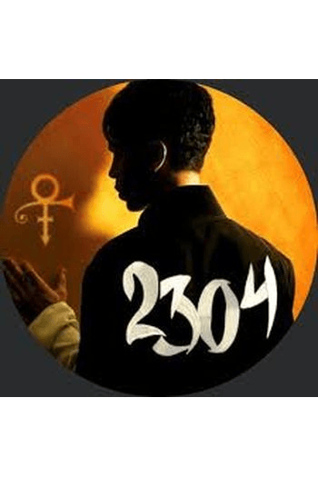 Prince - 3121 CD CD - omot