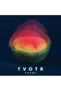 TV on the radio - Trouble/ Dubble LP - omot