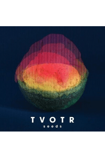 TV on the radio - Trouble/ Dubble LP - omot