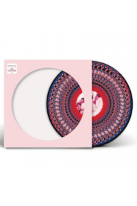 Everything Changes (30th anniversary zoetrope picture disc)