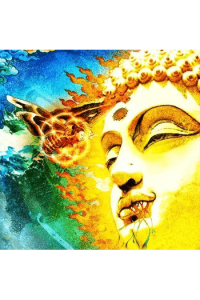 Rikard Sjöblom's Gungfly - On Her Journey To The Sun CD - omot
