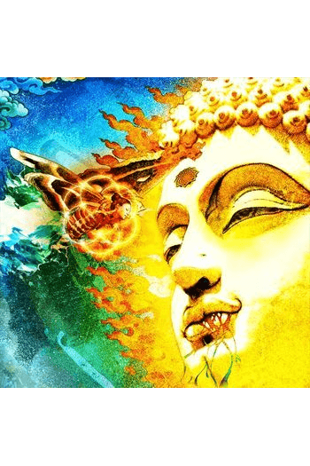 Rikard Sjöblom's Gungfly - On Her Journey To The Sun CD - omot