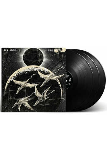 The Ducks - High Flyin LP - omot