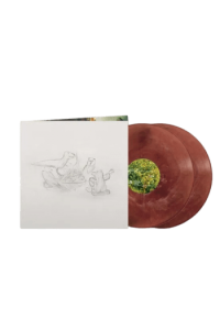Big Thief - Dragon New Warm Mountain I Believe In You LP - omot