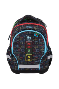 Ruksak Ergonomski PS14 Street Genius P6 - slika proizvoda