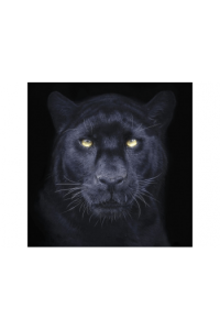 Panther Selfie Big 3D Razglednica - slika proizvoda