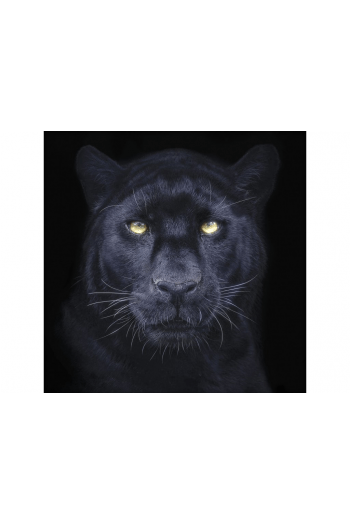 Panther Selfie Big 3D Razglednica - slika proizvoda
