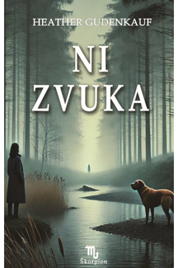 Ni zvuka - naslovnica