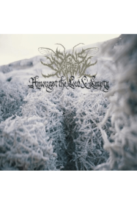 Signs Of The Swarm - Amongst Low & Empty LP - omot