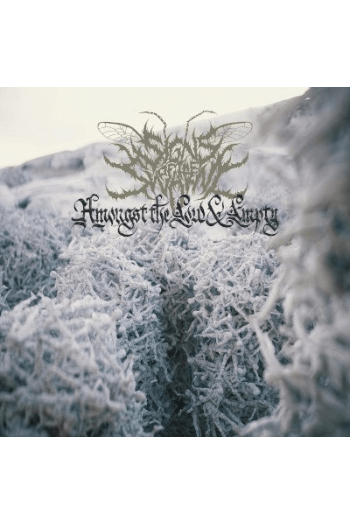 Signs Of The Swarm - Amongst Low & Empty LP - omot