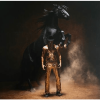 Orville Peck - Bronco LP - omot