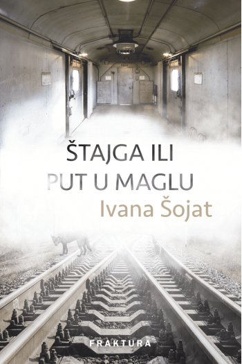 Štajga ili put u maglu - naslovnica