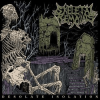 Skeletal Remains - Desolate Isolation - omot