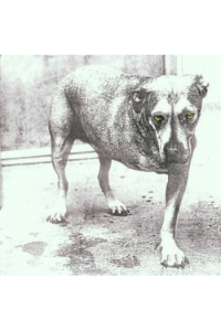 Alice In Chains - Alice In Chains IV CD - omot