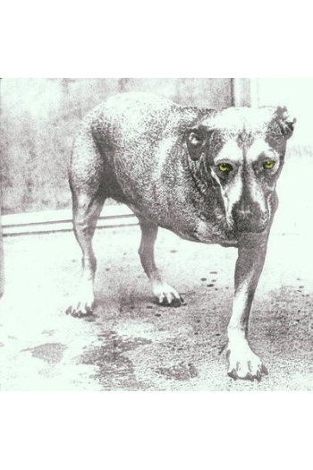 Alice In Chains - Alice In Chains IV CD - omot