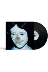 Newdad - Madra LP - omot