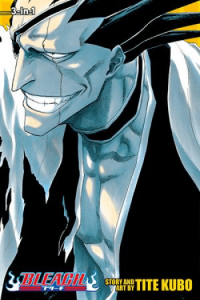 Bleach (3-in-1 Edition), Vol. 05 (Manga) - naslovnica