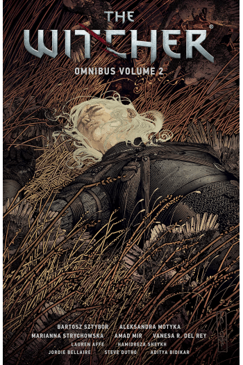 The Witcher Omnibus, Volume 2 (Strip) - naslovnica