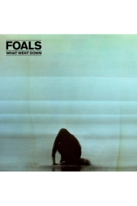 Foals - What Went Down LP - omot
