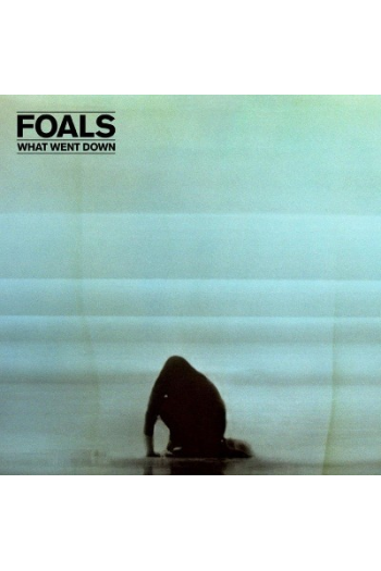 Foals - What Went Down LP - omot