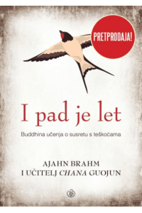I pad je let - naslovnica