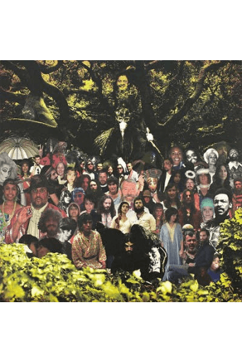 Devendra Banhart - Cripple Crow LP - omot