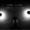 Akinmusire Ambrose - Owl Song LP - omot
