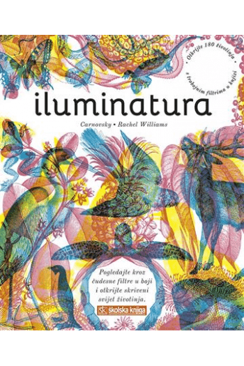 Iluminatura - naslovnica