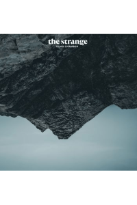 THE STRANGE - ECHO CHAMBER LP LP - omot