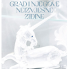 Grad i njegove neizvjesne zidine - naslovnica