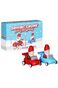 Driving Gnome for Christmas
