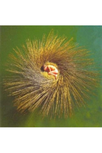 Peter Gabriel - Ovo CD - omot