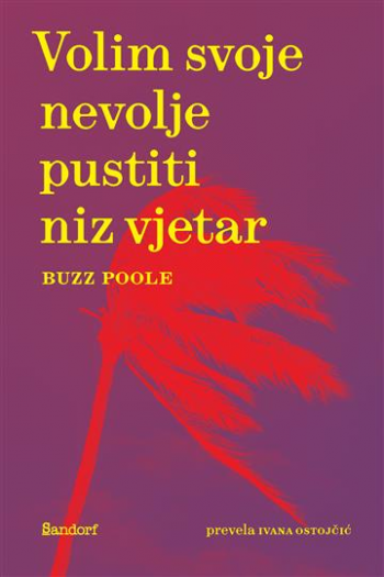 Volim svoje nevolje pustiti niz vjetar - naslovnica