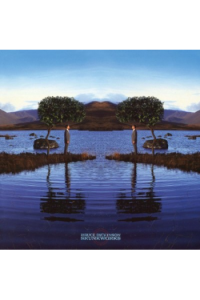 Bruce Dickinson - Skunkworks LP - omot