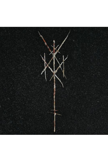 Wiegedood - Theres Always Blood At The End Of The Road - omot