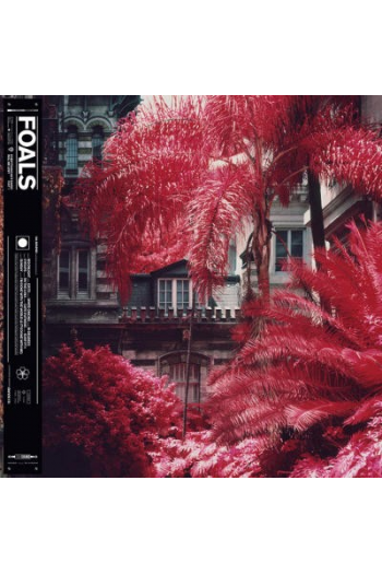 Foals - Everything Not Saved Will Be Lost Part 1 LP - omot