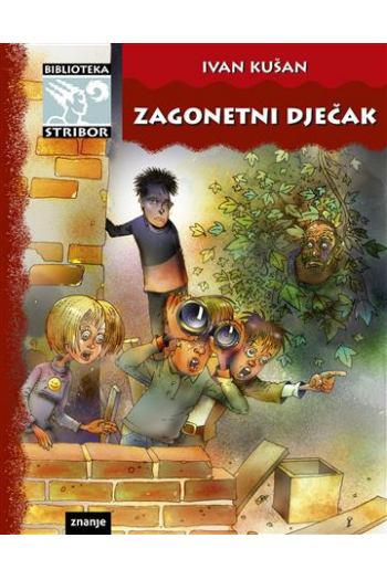 Zagonetni dječak - naslovnica