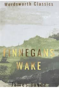 Finnegans Wake knjiga